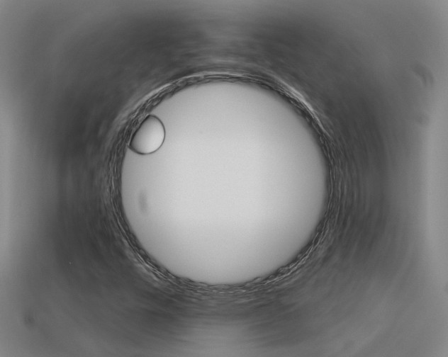 X0000113551448200909180949