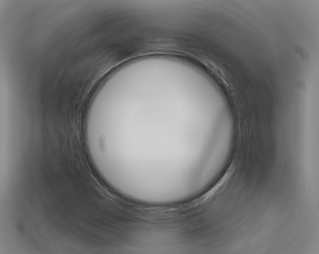X0000113551449200909180949