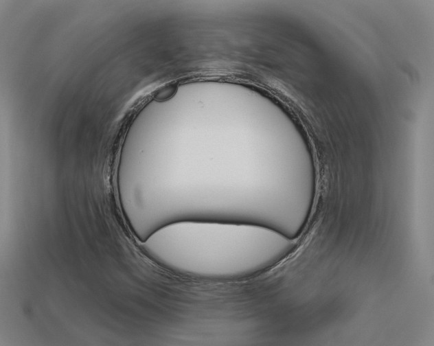 X0000113551451200909180949
