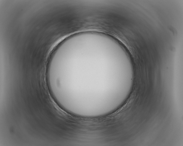 X0000113551452200909180949
