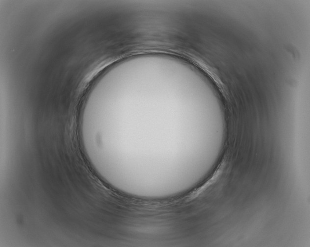 X0000113551453200909180949