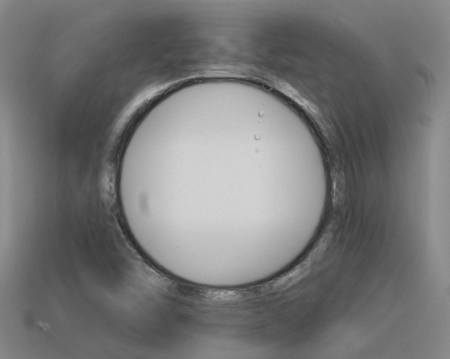 X0000113551454200909180949