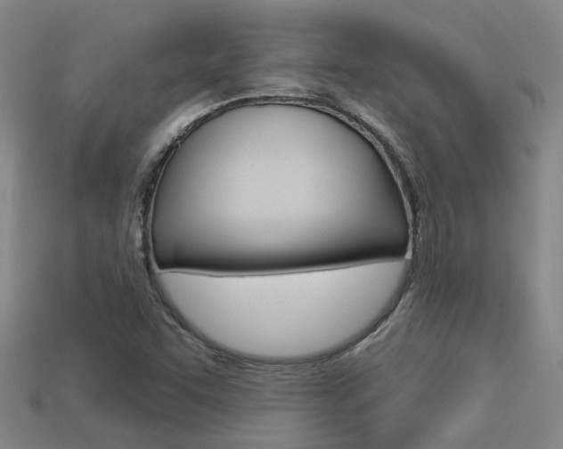 X0000113551455200909180949
