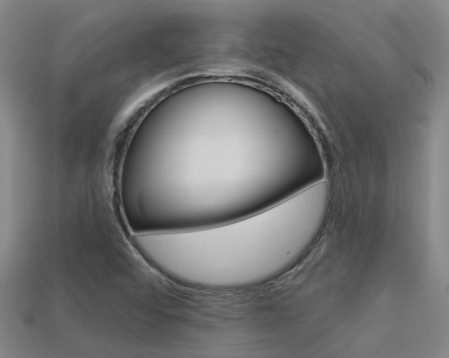 X0000113551456200909180949