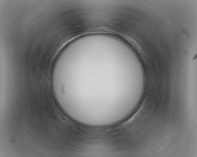 X0000113551457200909180949