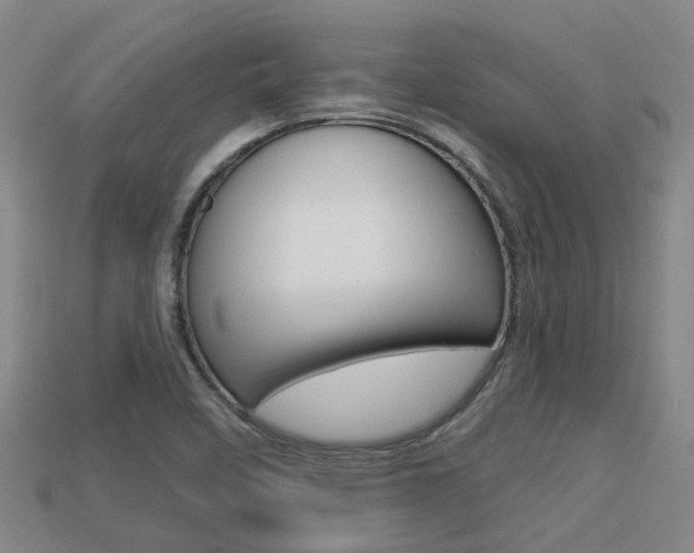 X0000113551458200909180949