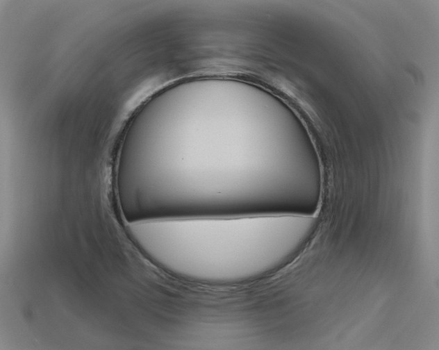 X0000113551459200909180949