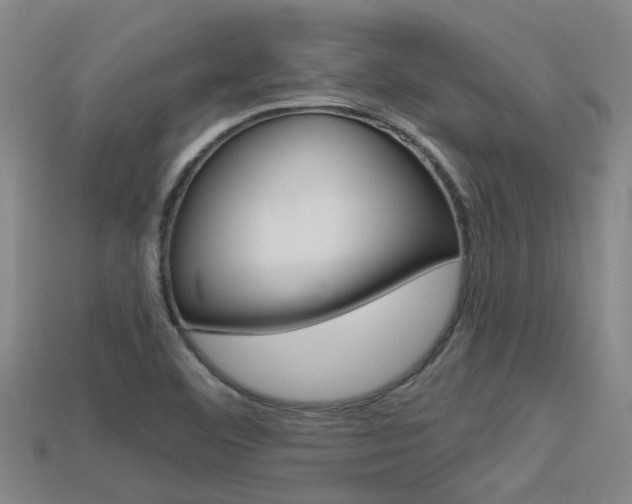X0000113551460200909180949