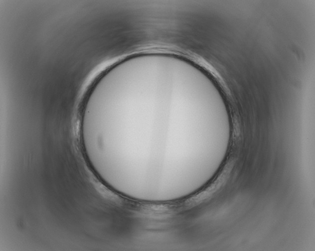 X0000113551462200909180949