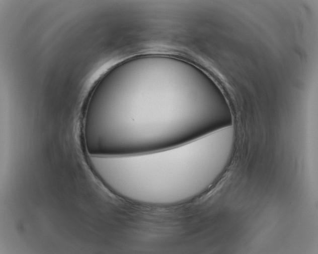 X0000113551463200909180949