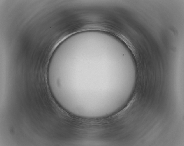 X0000113551465200909180949