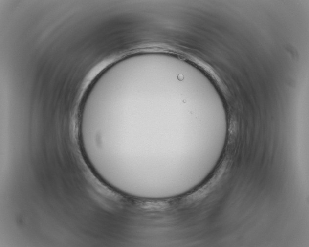 X0000113551466200909180949