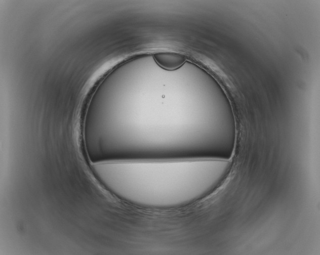 X0000113551469200909180949