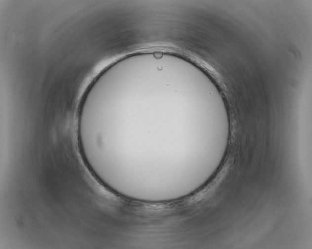 X0000113551470200909180949