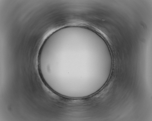 X0000113551471200909180949