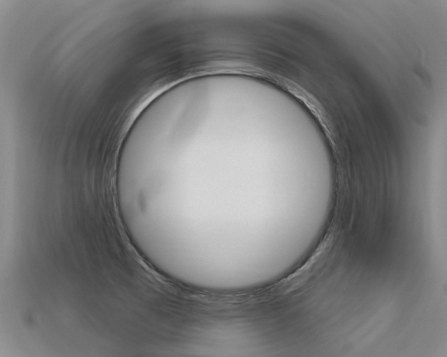 X0000113551473200909180949