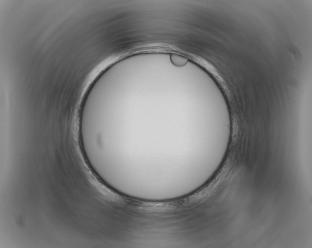 X0000113551474200909180949