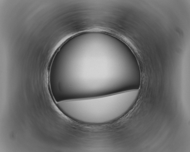 X0000113551476200909180949