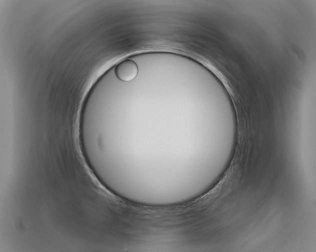 X0000113551477200909180949