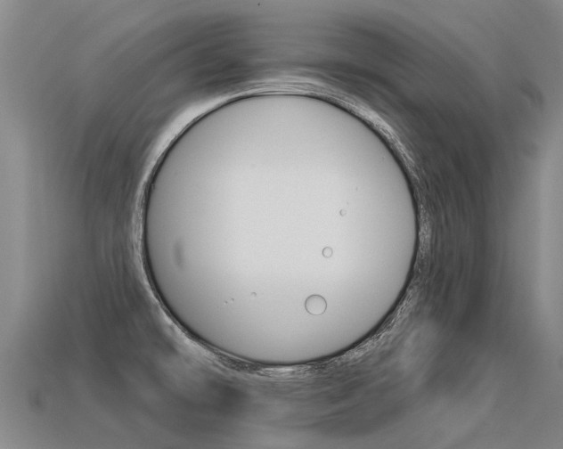 X0000113551478200909180949
