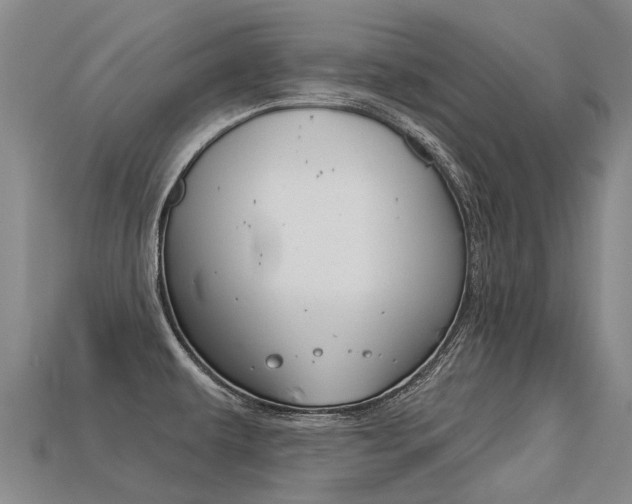 X0000113551479200909180949