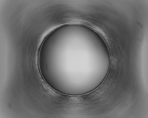 X0000113551480200909180949