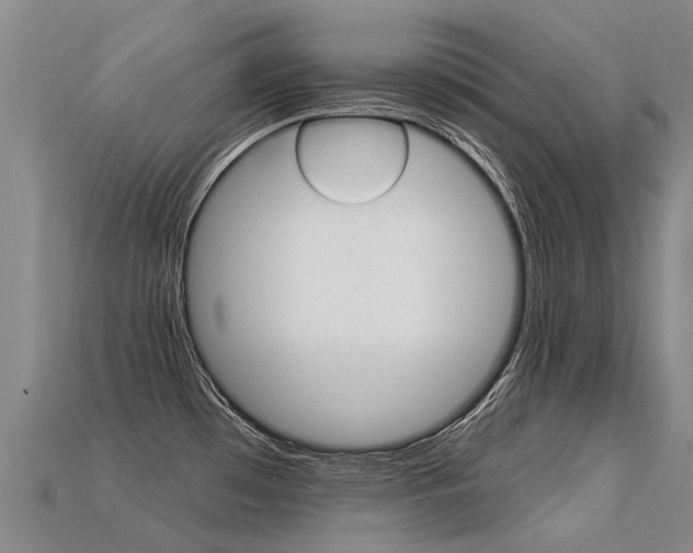 X0000113551481200909180949