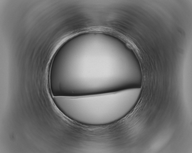 X0000113551483200909180949
