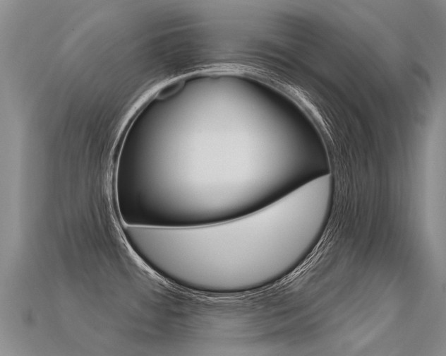 X0000113551484200909180949
