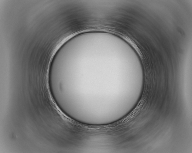 X0000113551485200909180949