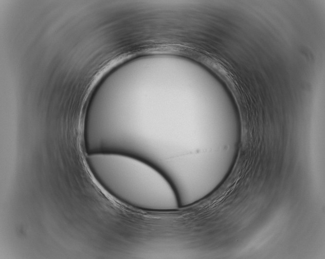 X0000113551487200909180949