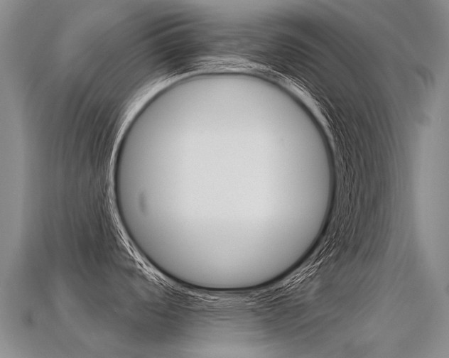 X0000113551488200909180949