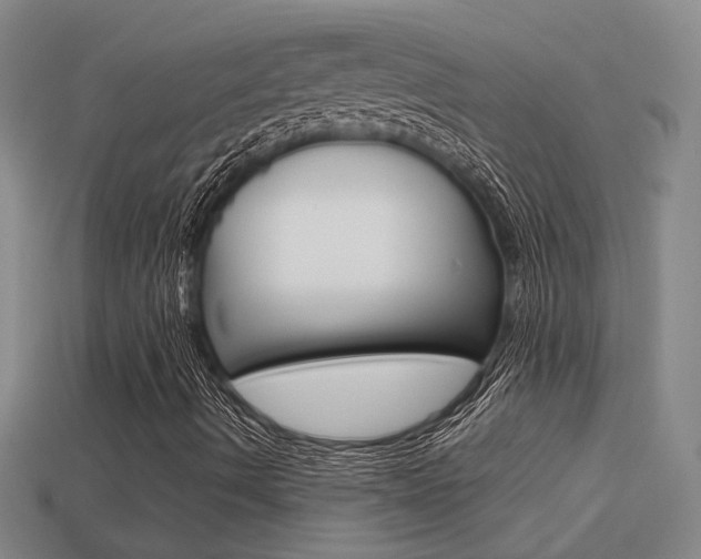 X0000113551490200909180948