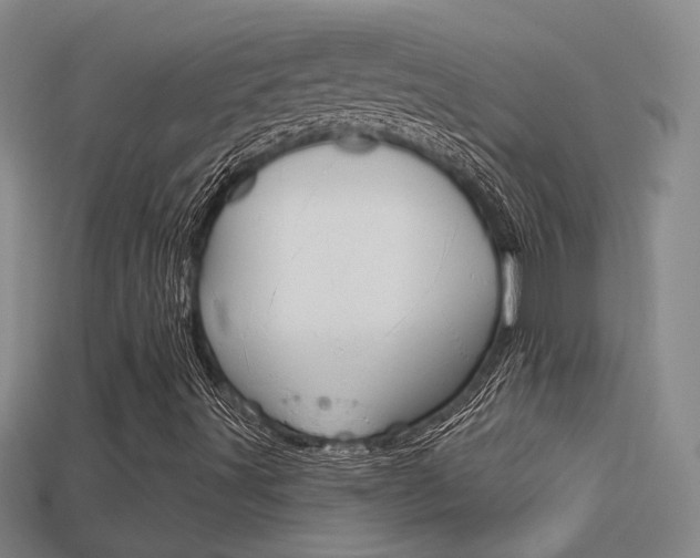 X0000113551491200909180948