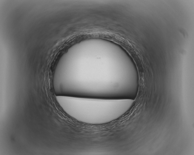 X0000113551493200909180948