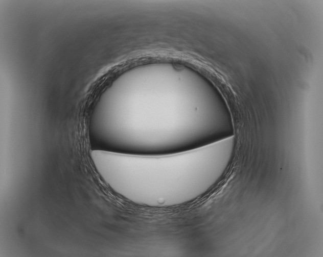 X0000113551494200909180948