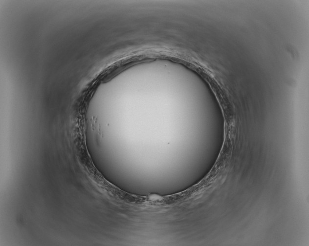 X0000113551496200909180948