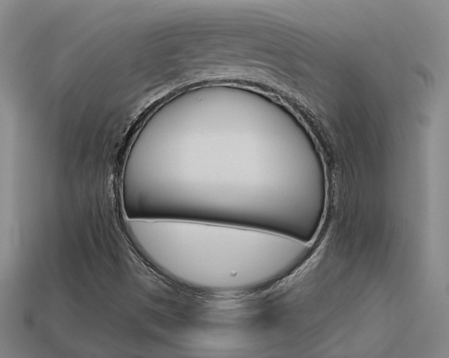 X0000113551497200909180948