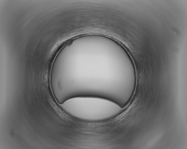 X0000113551499200909180948