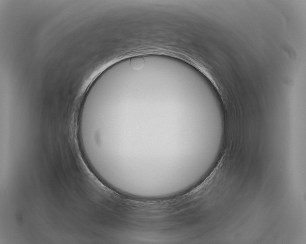 X0000113551500200909180948