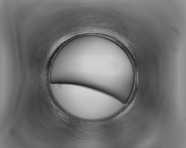 X0000113551501200909180948