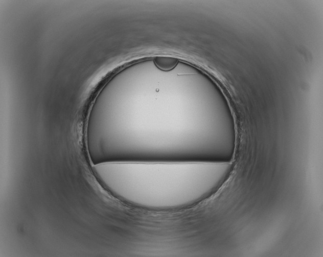 X0000113551503200909180948