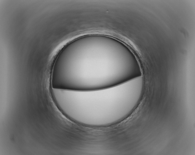 X0000113551504200909180948
