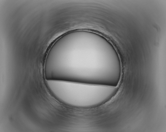 X0000113551505200909180948