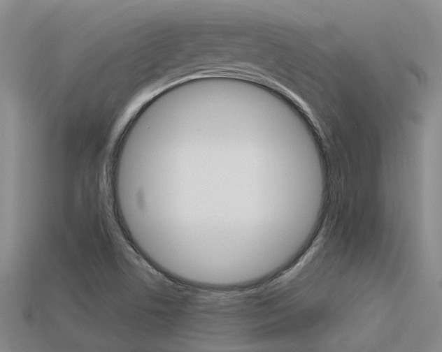 X0000113551506200909180948