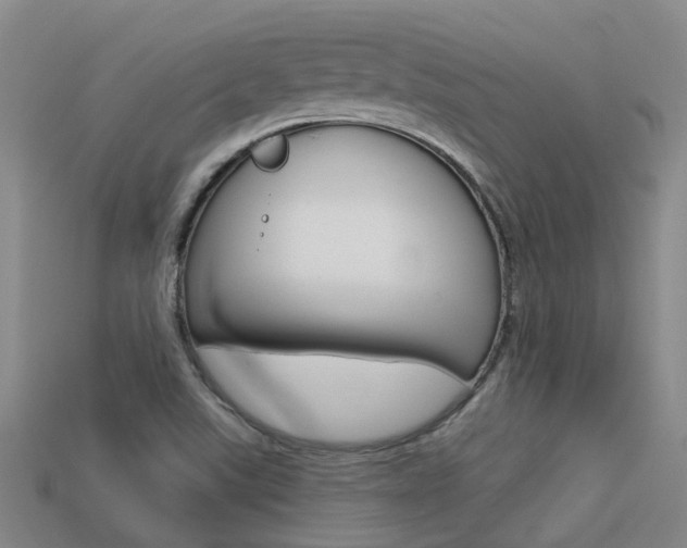 X0000113551507200909180948