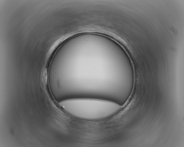X0000113551509200909180948