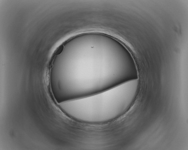 X0000113551510200909180948