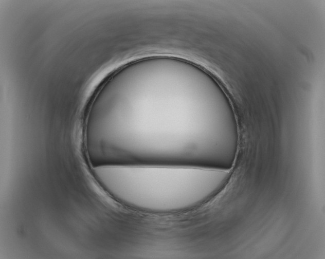 X0000113551511200909180948