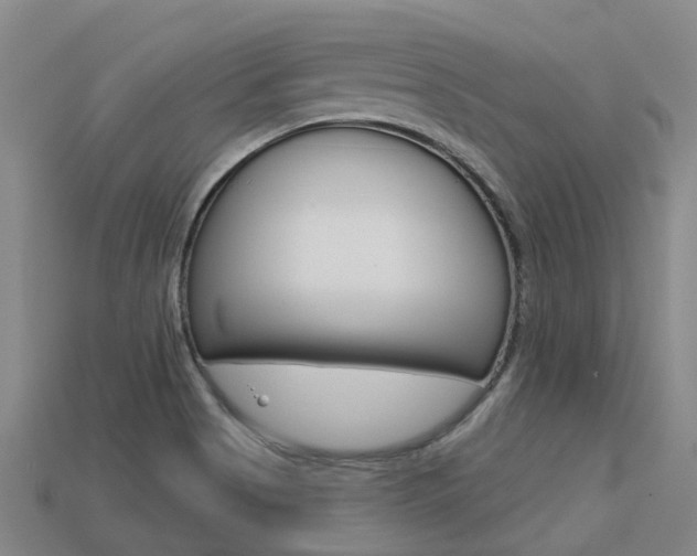 X0000113551513200909180948